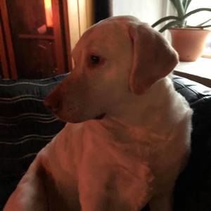 Meet your Posher, April